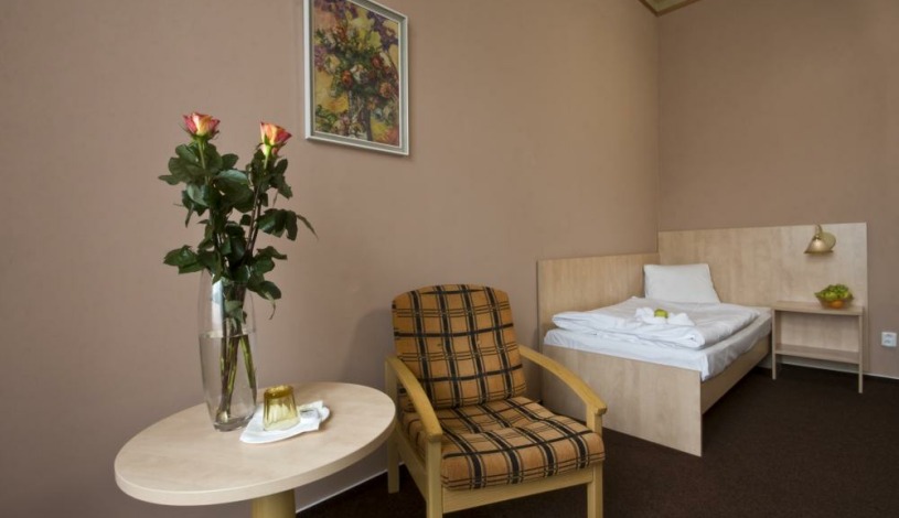 Lázeňský hotel Metropol Spa & Kurhotel Františkovy Lázně - Komfort 1/1